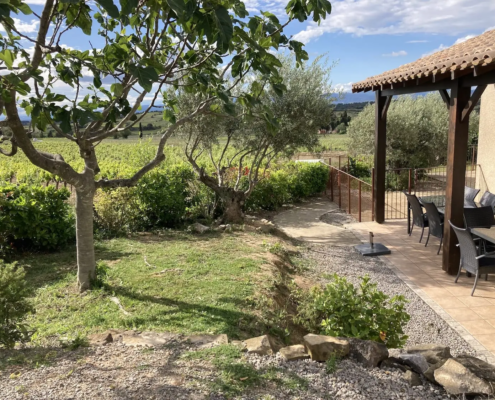 Syrah tuin